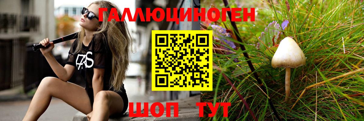 Галлюциногенные грибы Psilocybine cubensis Губкин