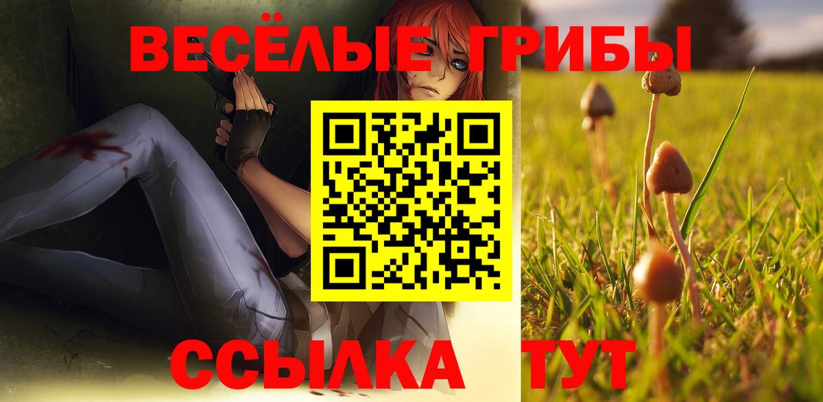 Галлюциногенные грибы Psilocybine cubensis  Псилоцибиновые грибы прущие грибы  Губкин  где найти   Вход с VPN 